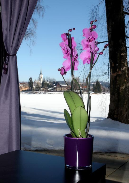 Apartmany Bella Vista Lipno Frydava Exterior photo